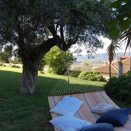 Garden *